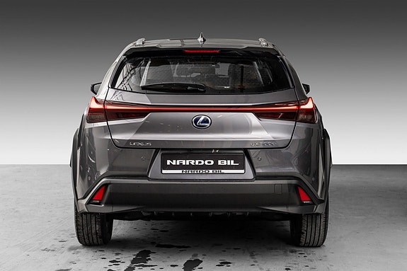 Lexus UX300e 8 of 24