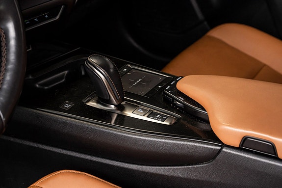 Lexus UX300e 17 of 24