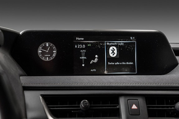 Lexus UX300e 14 of 24