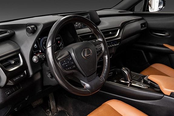 Lexus UX300e 18 of 24