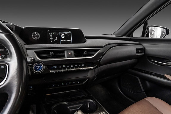 Lexus UX300e 13 of 24