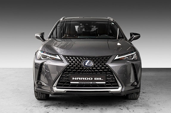 Lexus UX300e 3 of 24