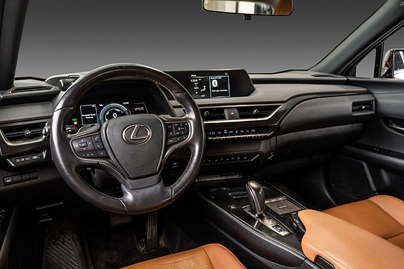 Lexus UX300e 21 of 24