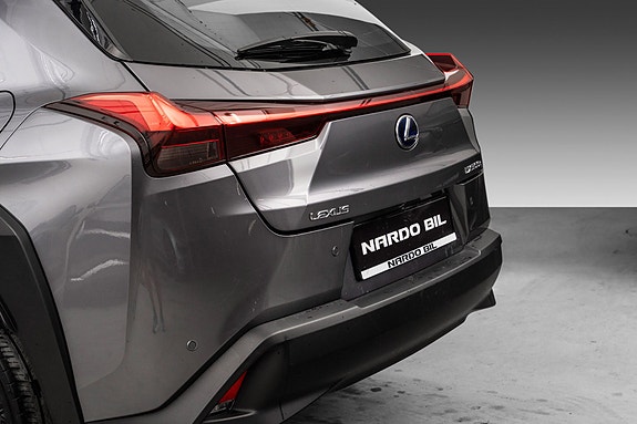 Lexus UX300e 6 of 24
