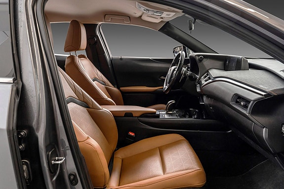 Lexus UX300e 23 of 24