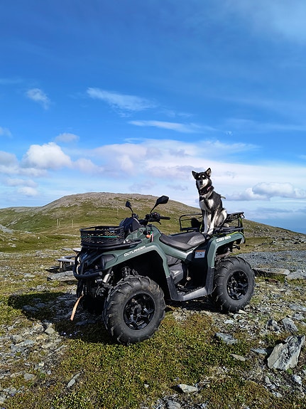 Can-Am Outlander Pro+ 450 T 5 of 15