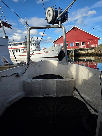 Viksund 27 Columbi ny pris! 5 of 5