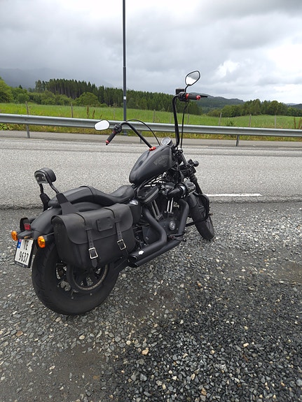 Harley-Davidson XL 883N Iron 3 of 10