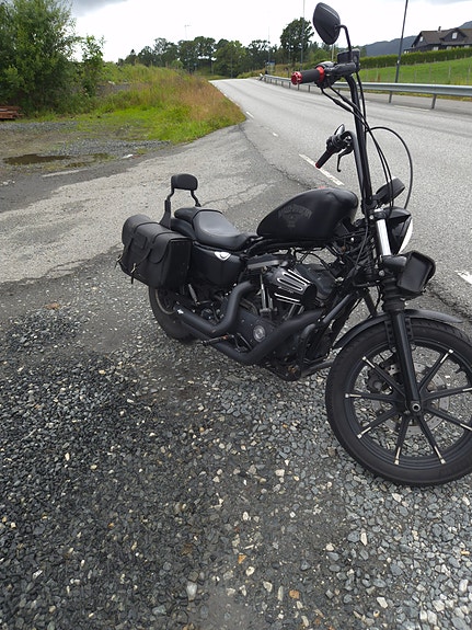 Harley-Davidson XL 883N Iron 4 of 10