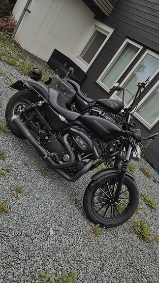 Harley-Davidson XL 883N Iron 7 of 10