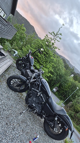 Harley-Davidson XL 883N Iron 8 of 10
