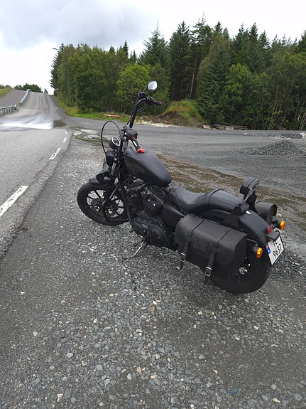 Harley-Davidson XL 883N Iron 6 of 10