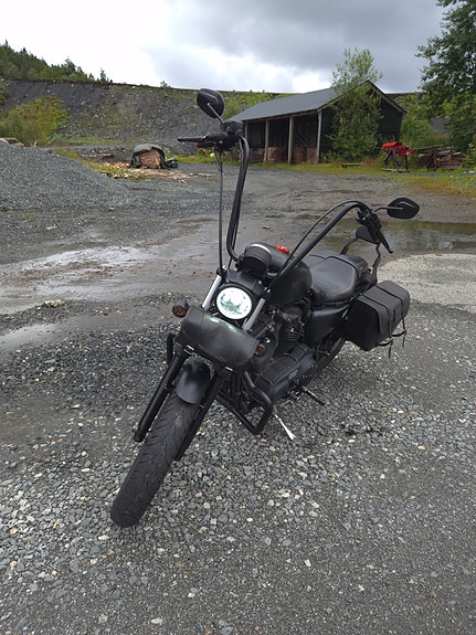 Harley-Davidson XL 883N Iron 10 of 10