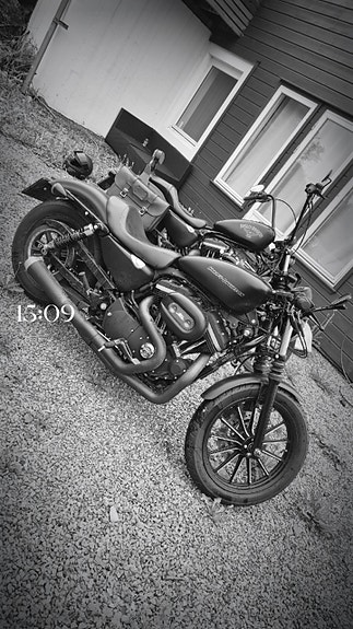 Harley-Davidson XL 883N Iron 9 of 10