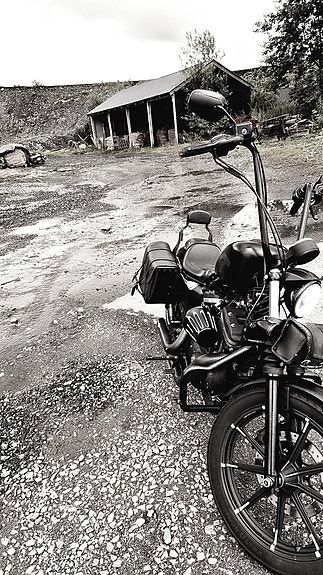 Harley-Davidson XL 883N Iron 2 of 10