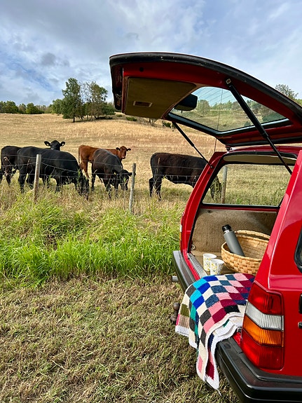 Volvo 240 11 of 30