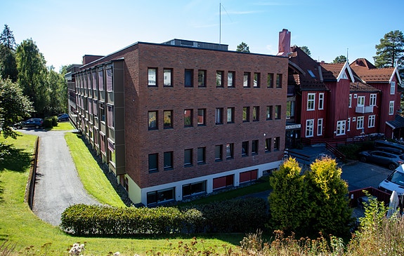 Bilde 1 av 1 i jobbannonse-galleriet