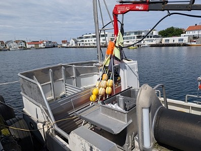 Selfa 33 Kystsjark 3 of 5