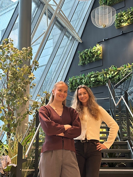 Bilde 3 av 5 i jobbannonse-galleriet
