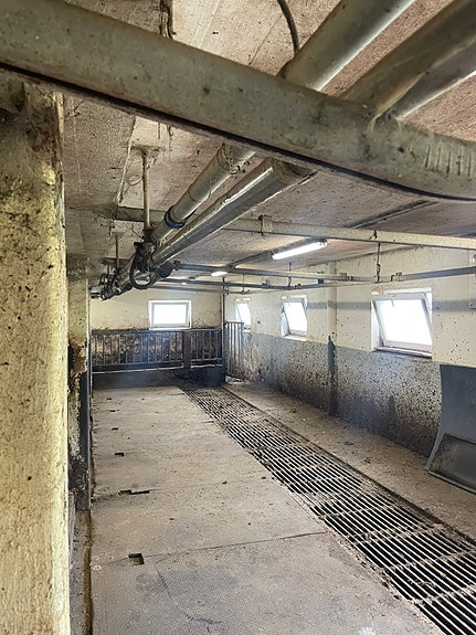 Delaval melkeanlegg 4 of 4