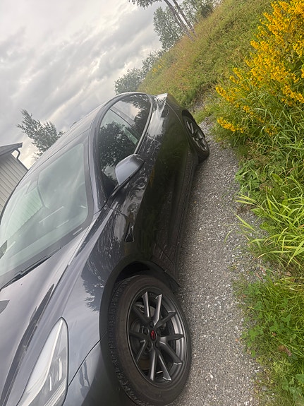 Tesla Model 3 3 of 5