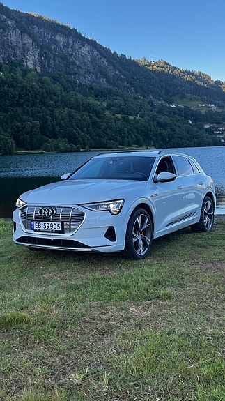 Audi e-tron 9 of 23