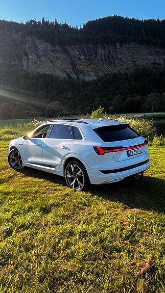 Audi e-tron 15 of 23