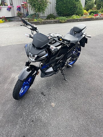 Suzuki GSX-S 125 7 of 8