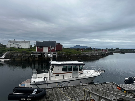 Flott NordStar 31 4 of 5