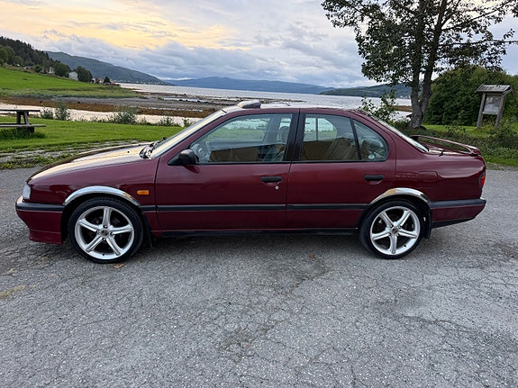 Nissan Primera 9 of 30