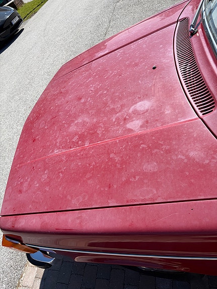 Volvo 142 21 of 25