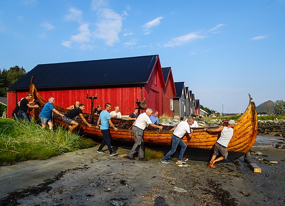 Vurderer å selje vikingskip (Bud mottas) 3 of 18