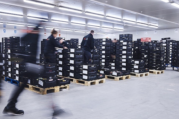 Bilde 8 av 10 i jobbannonse-galleriet