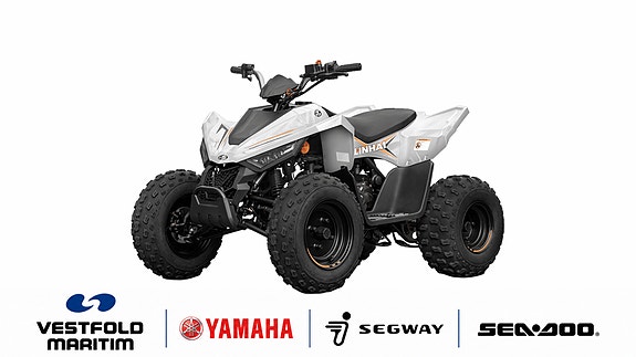 Linhai TØFF NY BARN- & UNGDOMS ATV // 110 2X4 5 of 5