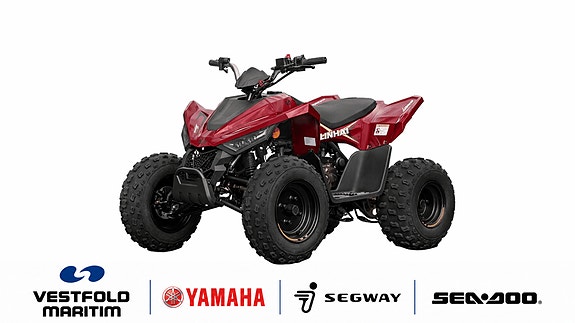 Linhai TØFF NY BARN- & UNGDOMS ATV // 110 2X4 2 of 5