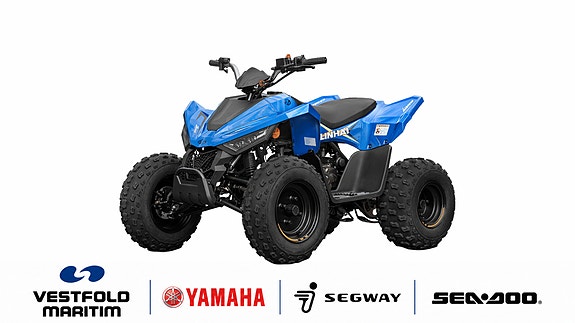 Linhai TØFF NY BARN- & UNGDOMS ATV // 110 2X4 4 of 5