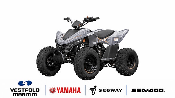 Linhai TØFF NY BARN- & UNGDOMS ATV // 110 2X4 3 of 5