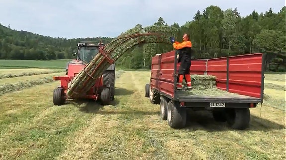 Massey Ferguson/ Welger 1839 småballepresse med bane til henger 5 of 5