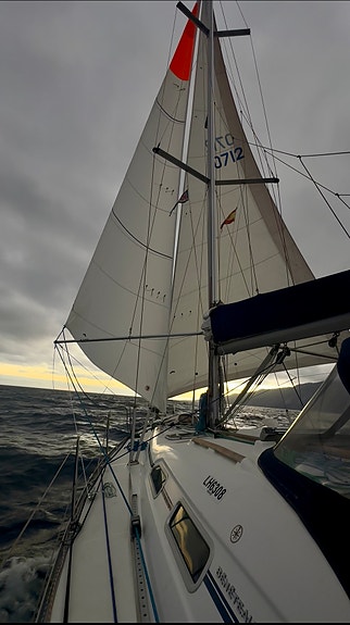 Langturrigget Benetau Oceanis 393. meget godt vedlikeholdt. 12 of 30