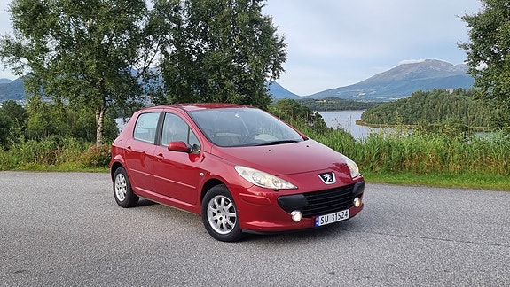 Peugeot 307 14 of 14