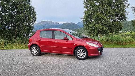 Peugeot 307 9 of 14