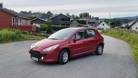 Peugeot 307 13 of 14