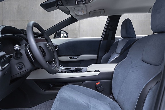 Lexus RZ450e 22 of 30