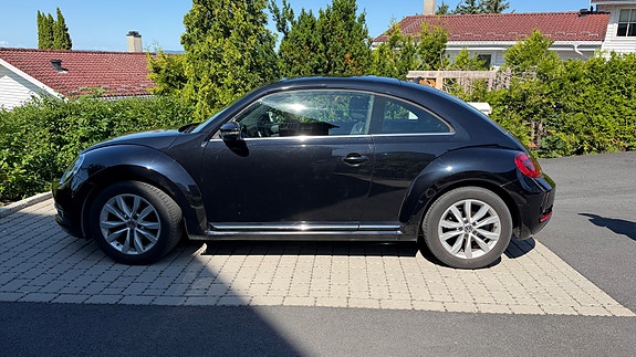 Volkswagen Beetle 6 of 29