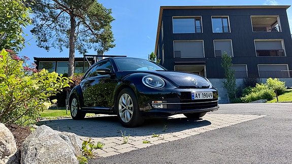 Volkswagen Beetle 3 of 29