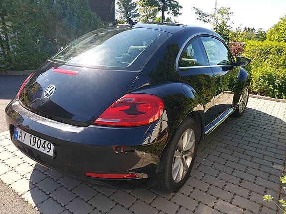 Volkswagen Beetle 5 of 29