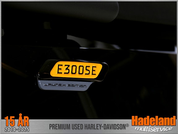 Segway E300 SE - eScooter - A1 Lett MC 11 of 16