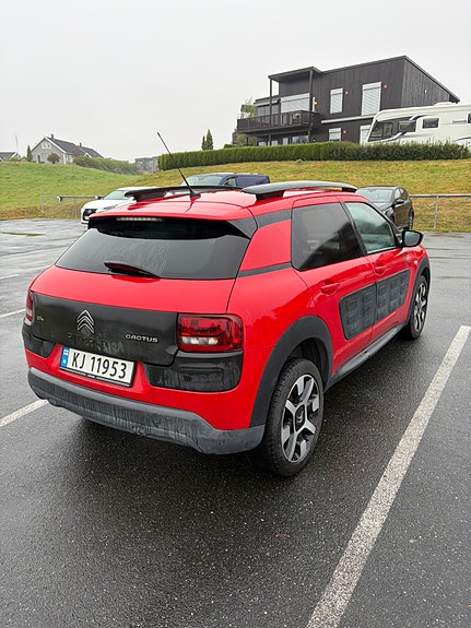 Citroen C4 Cactus 6 of 13
