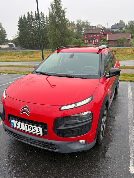 Citroen C4 Cactus 4 of 13