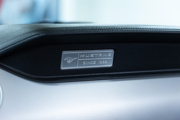 Ford Mustang 17 of 18